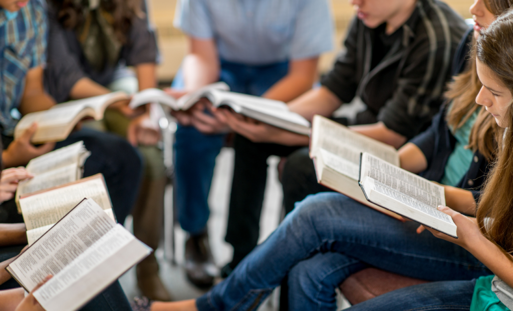 cursos de francés en Las Roza